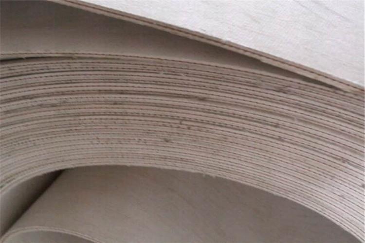 謹記！莫讓帆布分層輸送帶因撒料問題而遭受損(圖1)